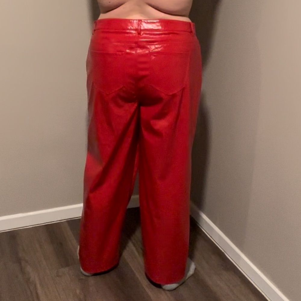 BEAND NEW Faux Leather, Wide Leg Pants From Eloquii